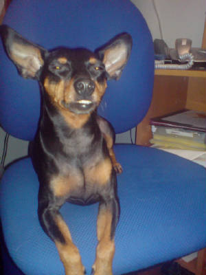 dsc01151.jpg